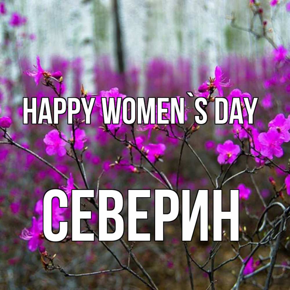 Greetings card с именем, Северин happy women`s day дикие цветы Greetings with text for free download 